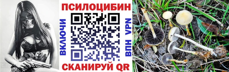 Псилоцибиновые грибы GOLDEN TEACHER  Северо-Курильск 